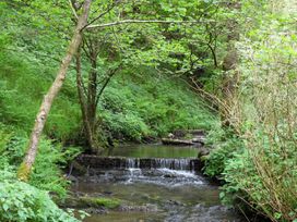 Kingfisher - South Wales - 930698 - thumbnail photo 37