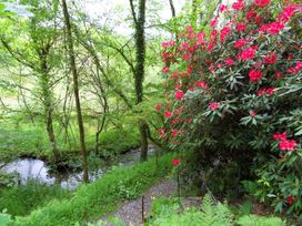 Kingfisher - South Wales - 930698 - thumbnail photo 33