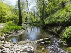 Kingfisher - South Wales - 930698 - thumbnail photo 27