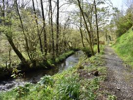 Kingfisher - South Wales - 930698 - thumbnail photo 41