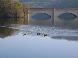 Talbot House - Peak District - 931278 - thumbnail photo 51