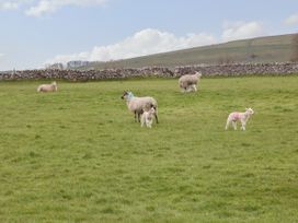 Shortner Croft - Peak District - 931808 - thumbnail photo 21