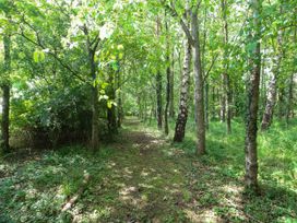 A path through trees in a forest at Dragonfly Lodge Whinburgh near Dereham