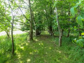 A pathway lined with trees in a green setting at Dragonfly Lodge in Whinburgh near Dereham