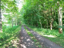 A pathway surrounded by trees at Dragonfly Lodge in Whinburgh near Dereham