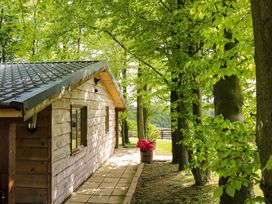 A cabin with trees and a pathway at Valley View Lodge in Welshpool