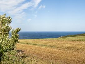 A field with a bush and ocean view at Tregiffian Vean Sennen Cove