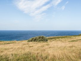 A view of the ocean and grassland at Tregiffian Vean Sennen Cove