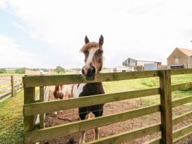 The Barn - Yorkshire Dales - 933238 - thumbnail photo 34