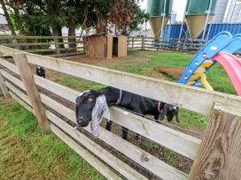 The Barn - Yorkshire Dales - 933238 - thumbnail photo 35