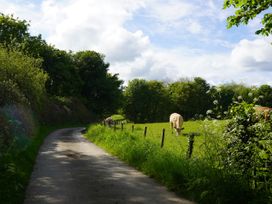 Roe Deer Lodge - Scottish Lowlands - 934255 - thumbnail photo 26