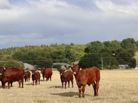 Oxen Cottage @ Nables Farm - Somerset & Wiltshire - 935719 - thumbnail photo 16