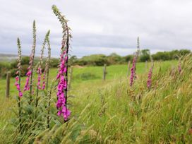 Hendy Cottage - North Wales - 936170 - thumbnail photo 36