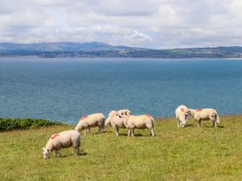 Hendy Cottage - North Wales - 936170 - thumbnail photo 43