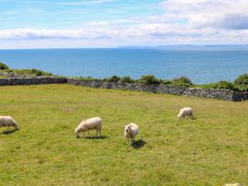 Hendy Cottage - North Wales - 936170 - thumbnail photo 47