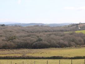Foxes - Cornwall - 936311 - thumbnail photo 16