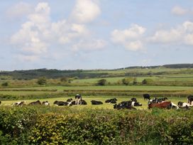 The Loft - Devon - 940752 - thumbnail photo 12