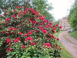 Haslington House - Cotswolds - 940966 - thumbnail photo 23