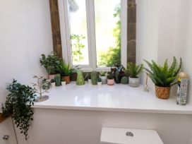A windowsill with various small potted plants and a spray can above a toilet at Menai View near Menai Bridge