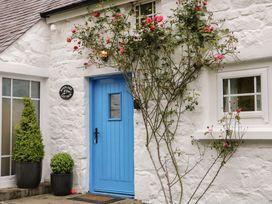 An exterior view of a cottage with a blue door and plants at Rosslare Cottage in Broughshane
