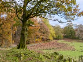 Beech - Woodland Cottages - Lake District - 942520 - thumbnail photo 27