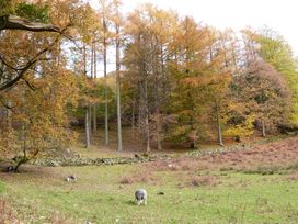 Beech - Woodland Cottages - Lake District - 942520 - thumbnail photo 32