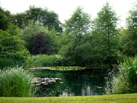 The Barn at Waunlippa - South Wales - 943196 - thumbnail photo 18