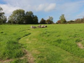 Jolls Ground Barn - Cornwall - 943386 - thumbnail photo 30