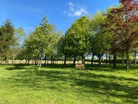 A grassy area with trees and a wooden bench under blue sky at Oak Cottage Bryngwenith near Newcastle Emlyn