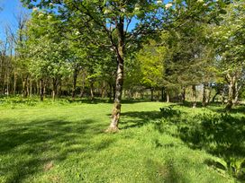 A grassy area with trees and shadows under a blue sky at Cherry Cottage in Bryngwenith near Newcastle Emlyn