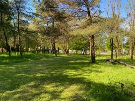 A woodland area with trees and grass with a fence and buildings in the background at Cherry Cottage in Bryngwenith near Newcastle Emlyn