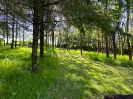 A grassy area with trees and a wooden bench in a forest at Cherry Cottage in Bryngwenith near Newcastle Emlyn