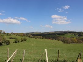 A fenced grassy field with scattered sheep and trees under a blue sky at Pen Y Cae in Llansannan