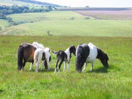 Blaendyffryn Fach - South Wales - 947942 - thumbnail photo 13