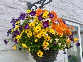 A hanging basket with colorful flowers at Clara's Cottage West Lutton near Malton