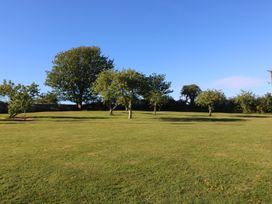 A grassy area with trees and a clear sky at The Shippons in Abersoch