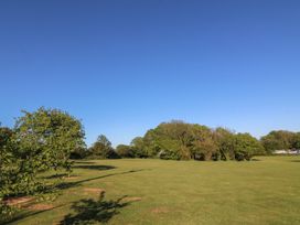A grassy area with trees and a blue sky at The Shippons in Abersoch