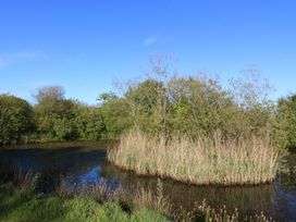 A natural landscape with water and vegetation at The Shippons in Abersoch