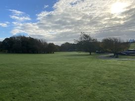 An outdoor view of grass and trees at Y Betws in Abersoch