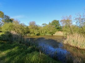 A pond surrounded by grass and bushes at Y Betws Abersoch
