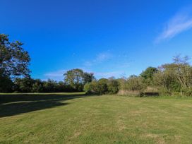 An outdoor area with grass and trees at Nyth Y Wennol in Abersoch