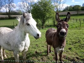 Stables Cottage -  - 951474 - thumbnail photo 22