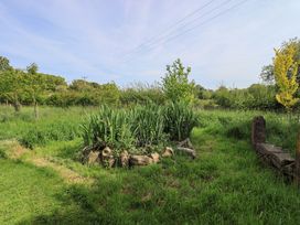 A garden area with plants and trees at Kestrel Cottage Beckside near Cartmel
