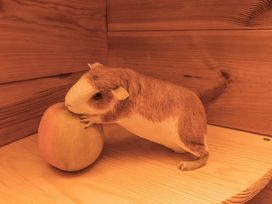 A wooden animal figure resembling a guinea pig next to a round wooden object on a wooden surface