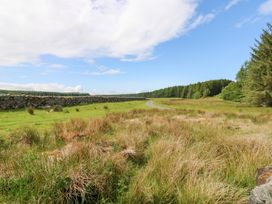 A landscape view of grass and trees with a path at Gallow Law Cottage Bellingham