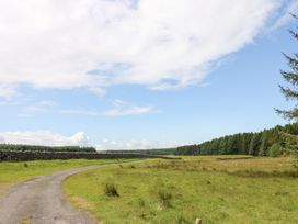 A road leading through grassland with trees in the background at Gallow Law Cottage in Bellingham