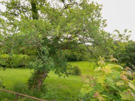 A garden with a large tree and grass at Mallows Byre in Yetminster