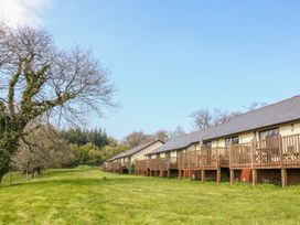 Swallow - Devon - 955399 - thumbnail photo 2