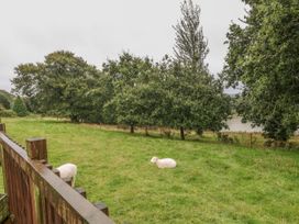 Woodpecker - Devon - 955405 - thumbnail photo 14