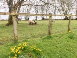 The Barn at Harrolds Farm - South Wales - 957697 - thumbnail photo 32